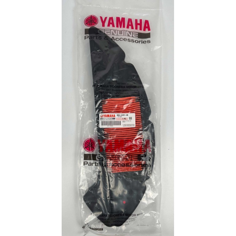 Filtre a air Origine Yamaha B6HE44510000